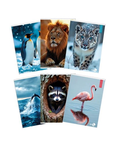 QUADERNI ANIMAL A4 80GR 4MM - CONF10
