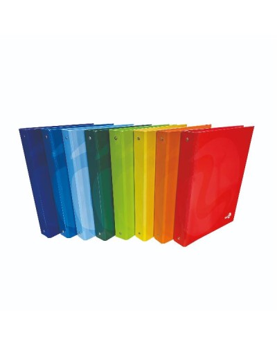 RACCOGLITORE AD ANELLI COLOR A4 D.30 MM