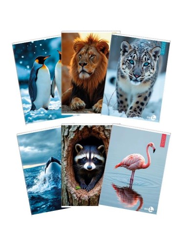 QUADERNI ANIMAL A4 80GR C - CONF10