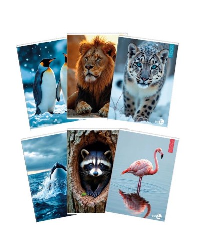 QUADERNI ANIMAL A4 80GR B - CONF10
