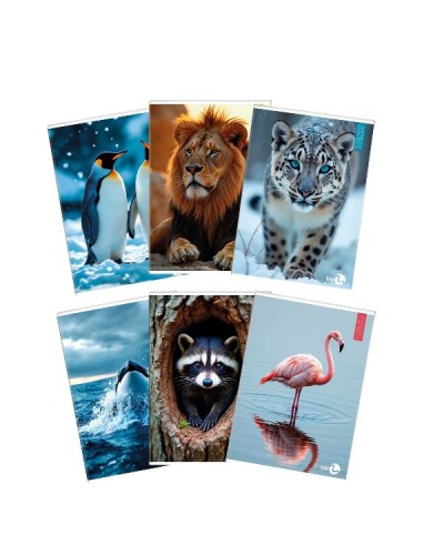 QUADERNI ANIMAL A4 80GR 10F - CONF10