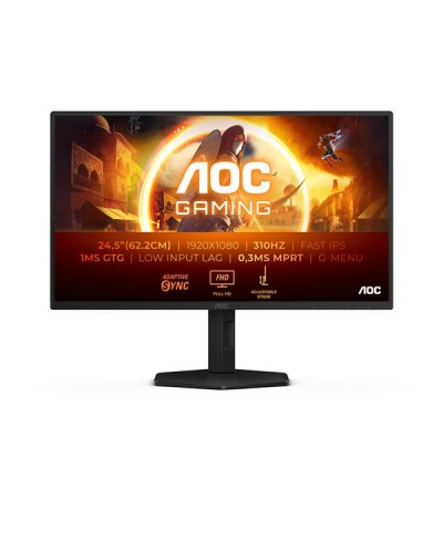 MONITOR 25 IPS 300HZ GAMING REG