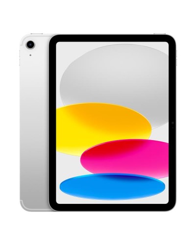 iPad Wi-Fi + Cellular 256GB - Argento