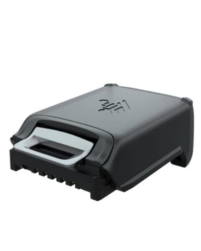 RS5100 Lithium Ion Battery 10-pack, Extended 735mAh, Worldwide