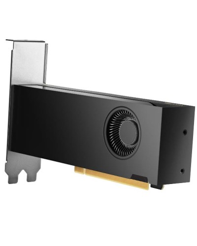 HP NVIDIA RTX PRO 2000 Blackwell da 16 GB