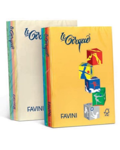 LE CIRQUE A4 160GR 250 FOGLI - COLORI TENUI e FORTI