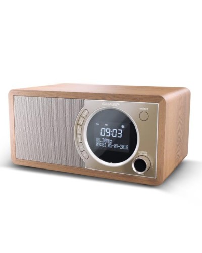 RADIO DIGITALE DR450 BROWN