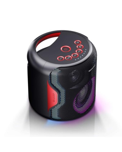 Altoparlante per Feste PS-921