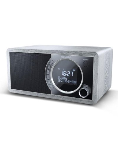 RADIO DIGITALE DR450 GREY