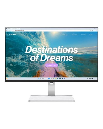 Lenovo L24D-4C Monitor