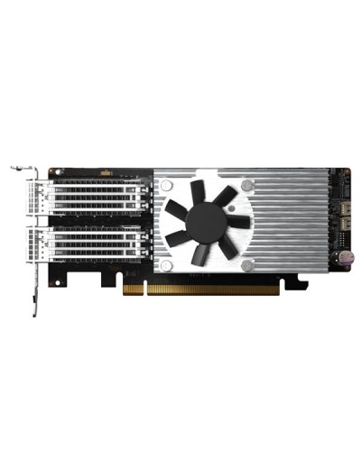 QXG-100G2SF-E810