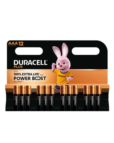 DURACELL PLUS POWERBOOST MINISTILO AAA CONF.12