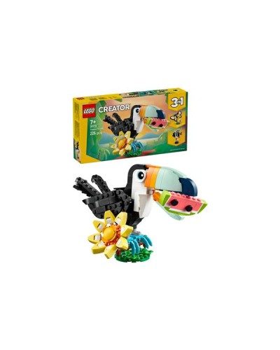Animali selvatici: tucano tropicale