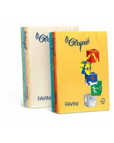 LE CIRQUE Forti Mix – A4 5 Colori - 80g/m2 - 500 fogli