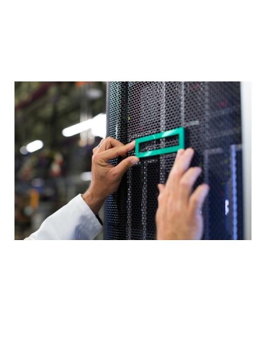 HPE ProLiant ML110 Gen11 NS204i-u Kit Abilitazione