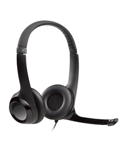 USB HEADSET H390