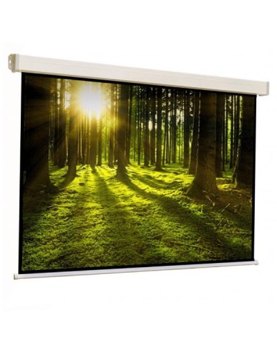 Manuale Platinum 300x300 HT