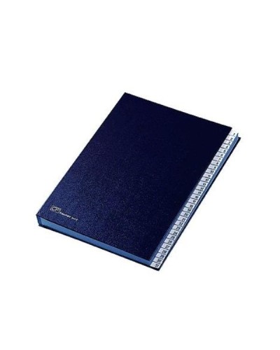 Classificatore Numerico 1-31 Blu 32 Scomparti