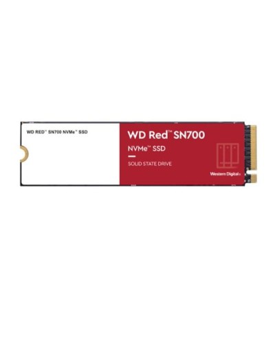 SSD WD Red SN700 NVMe M.2 per NAS