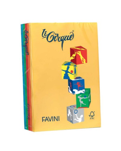 Risma Le Cirque A4 160g/m2 250 fogli colori assortiti