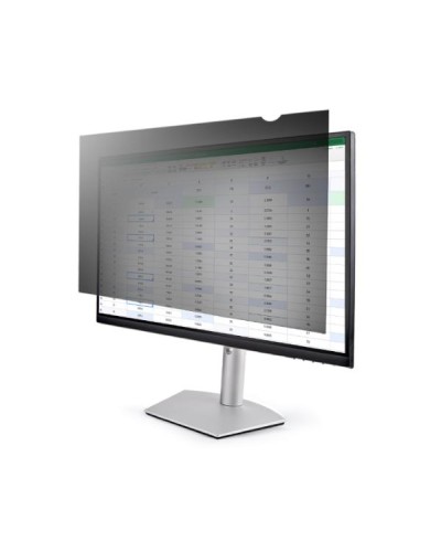 Filtro privacy per monitor 22"