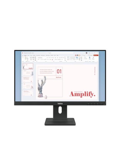 Lenovo ThinkVision E24-40 Monitor 23.8" FHD IPS 100Hz