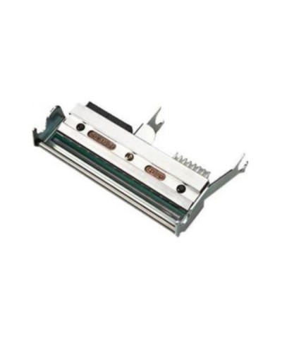Kit Testina di Stampa 300 DPI PM45