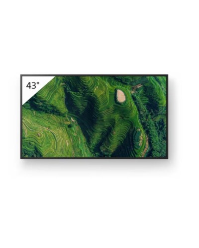 Display professionale 4K HDR 43" Sony BRAVIA FW-43BZ35P