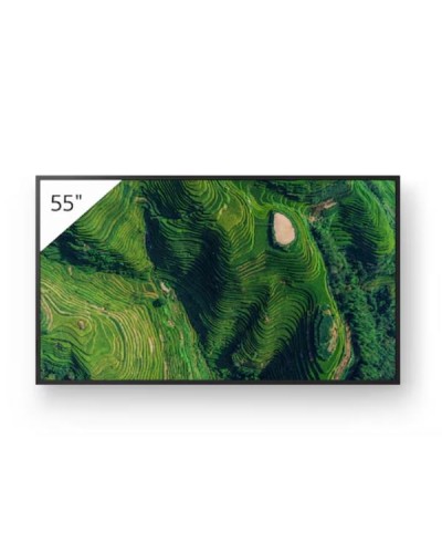 Display professionale BRAVIA FW-55BZ35P 4K HDR 55"