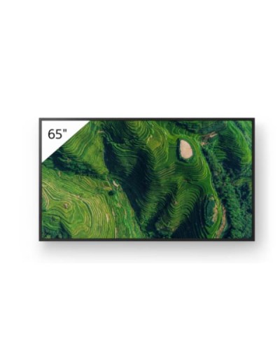 Sony BRAVIA FW-65BZ35P Display Professionale 4K HDR 65"