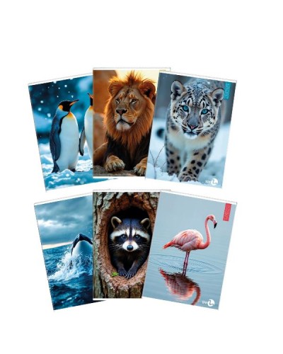 Quaderni Animal A4 80gr Rigatura Q - Confezione 10 pz
