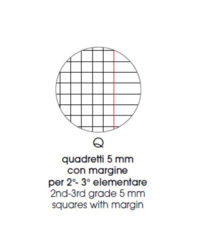 CF10 MAXI DOLCICUCC ASS 80G 42F - Q