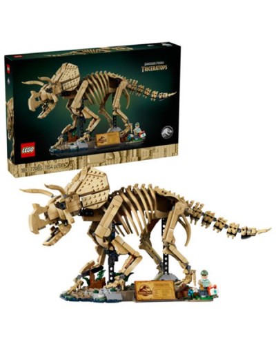 FOSSILI DI DINOSAURO: TRICERATOPO
