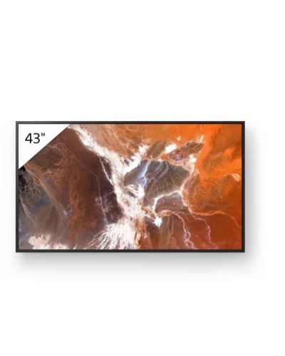 Display professionale 4K HDR da 43"