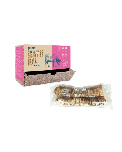 Comida húmeda Royal Canin para Gatos: soporte digestivo, función urinaria saludable.
