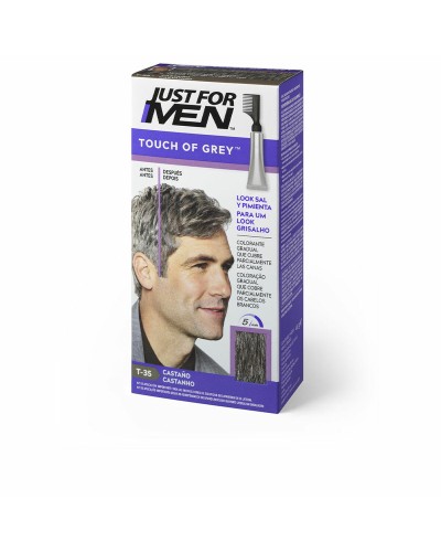 Just For Men Touch Of Grey Châtain - Coloration Cheveux Homme 40g - Couverture Naturelle
