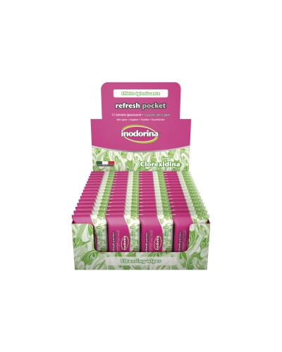 Scottex Sanfte Hygienetücher für Zuhause
