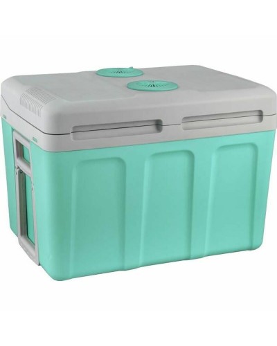 Eza 40L Portable Electric Cooler - Thermoelectric Refrigerator Car Camper
