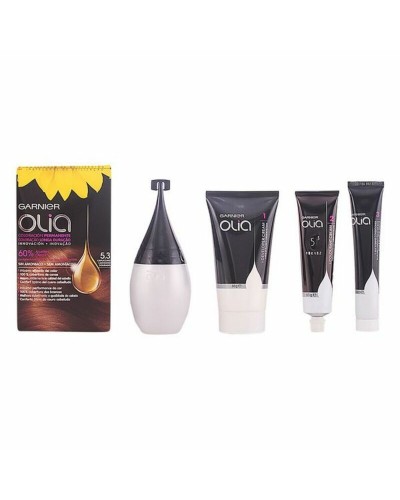 Garnier Olia Cappuccino 5.3 - Coloration Permanente Cheveux (4 Pièces) - Unisexe
