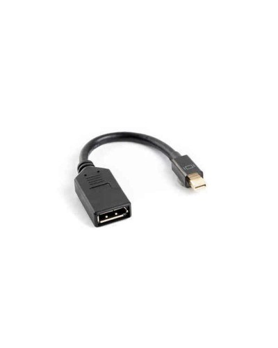 Lanberg Câble Mini DisplayPort vers DisplayPort 4K Noir 10cm - Transmission Vidéo
