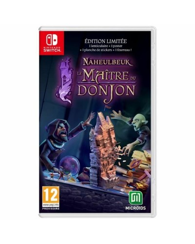 Microids The Dungeon Master of Naheulbeuk - Switch Video Game
