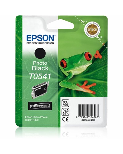 Alkunperäinen mustepatruuna Epson Cartucho T0541 negro foto Musta