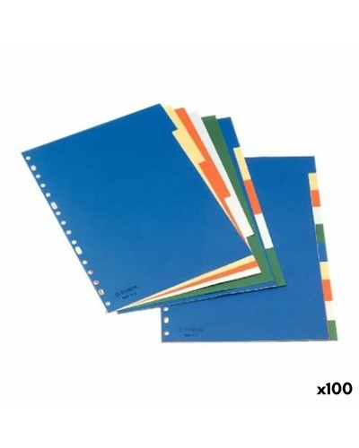 Set spoorverbreders Esselte 5 Vellen Multicolour A4 (100 Stuks)