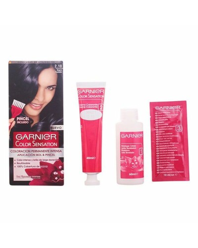 Permanent färg Color Sensation 2,10 Garnier Blåsvart