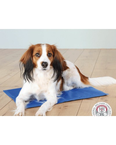 Trixie Soft Dog Bed - Size M (70 x 54 x 24 cm) - Padded and Removable Cover - Grey with Paw Print
