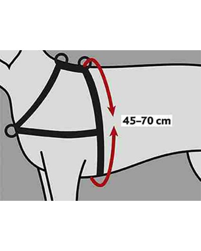 Harnais pour Chien Réglable Trixie, Taille S/M, Noir
