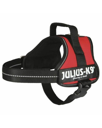 Hundsele Julius K9 Power Röd M