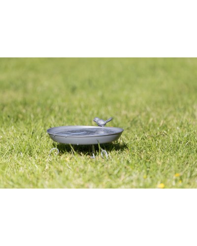 Trixie Baignoire pour Chiens Grandes Tailles, 100 x 50 cm, Robuste
