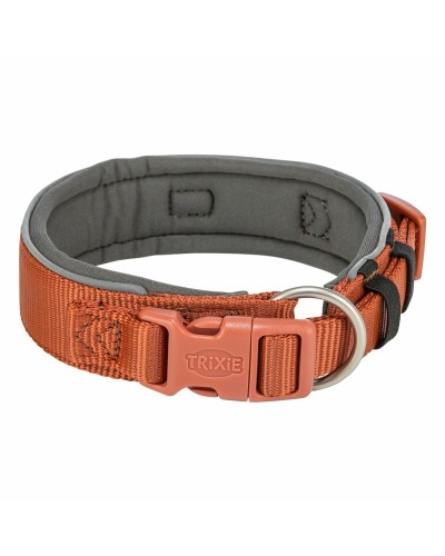 Trixie Premium Dog Collar, Size L/XL (53-62 cm), Graphite Orange Color, D-Ring for Leash
