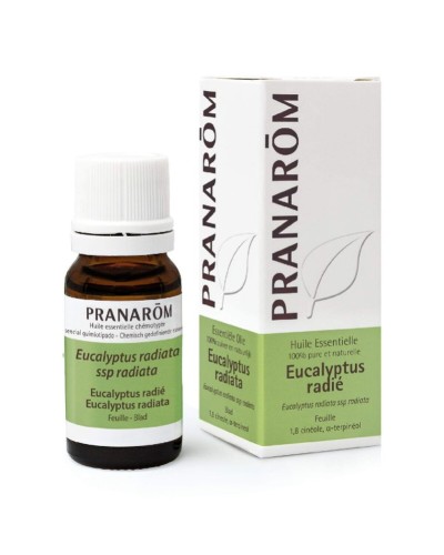 Olio Essenziale Pranarôm Eucalipto Purificante per Ambiente e Diffusione, 10 ml